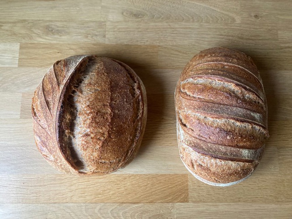 Bread - Organic House Sourdough with Red Poppy Seeds- 500g