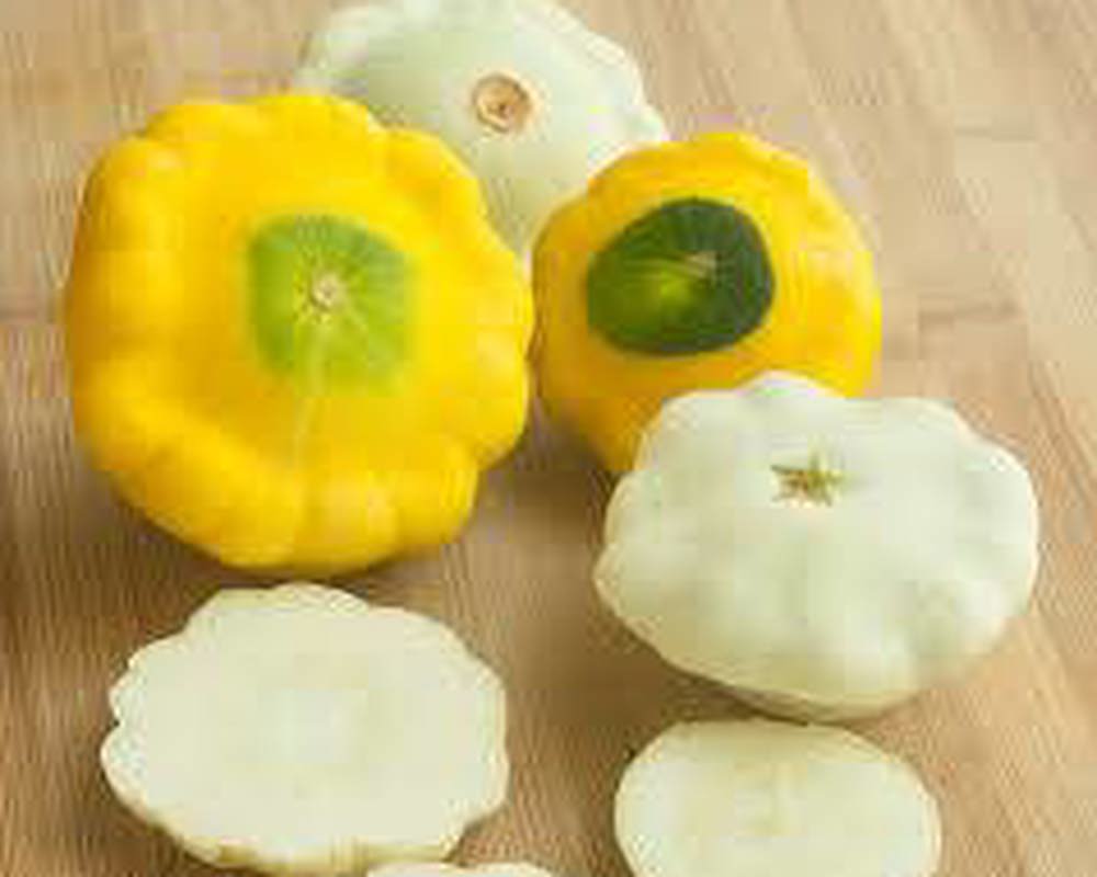 Patty Pan (Summer Squash)