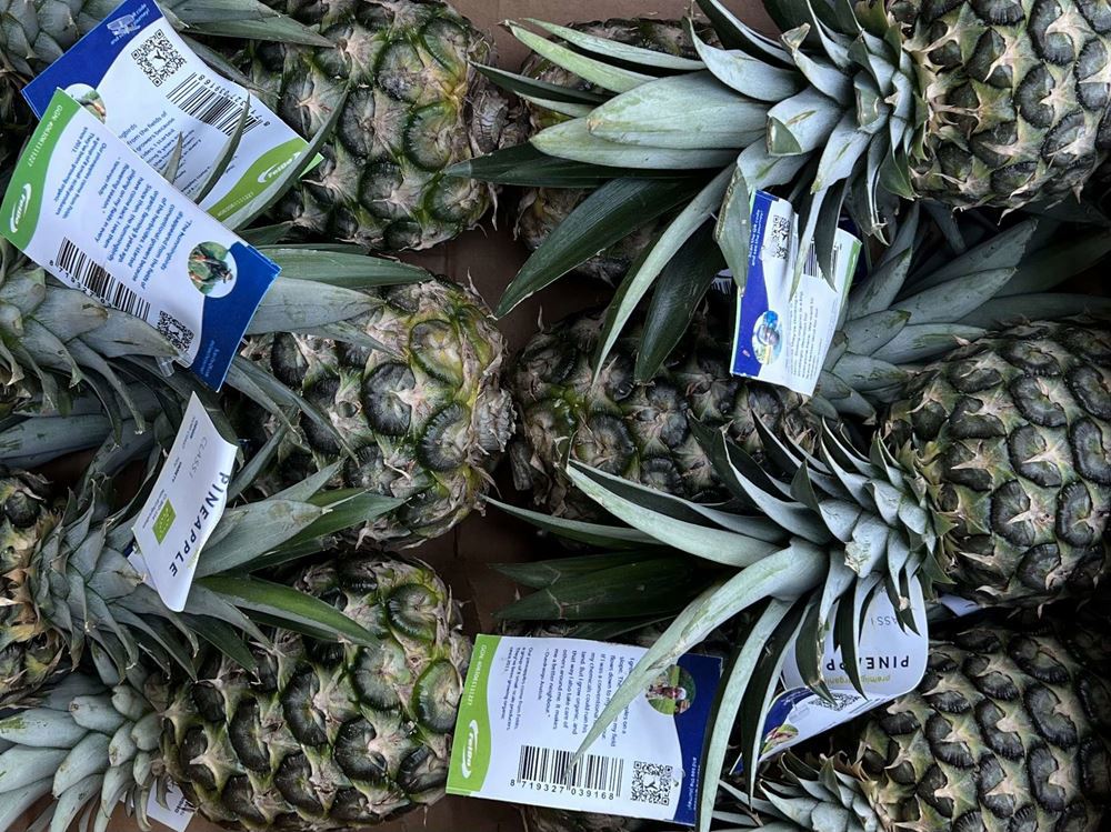 Pineapple (Costa Rica)