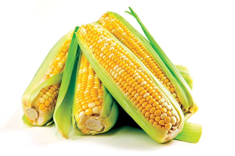 Corn: Sweet