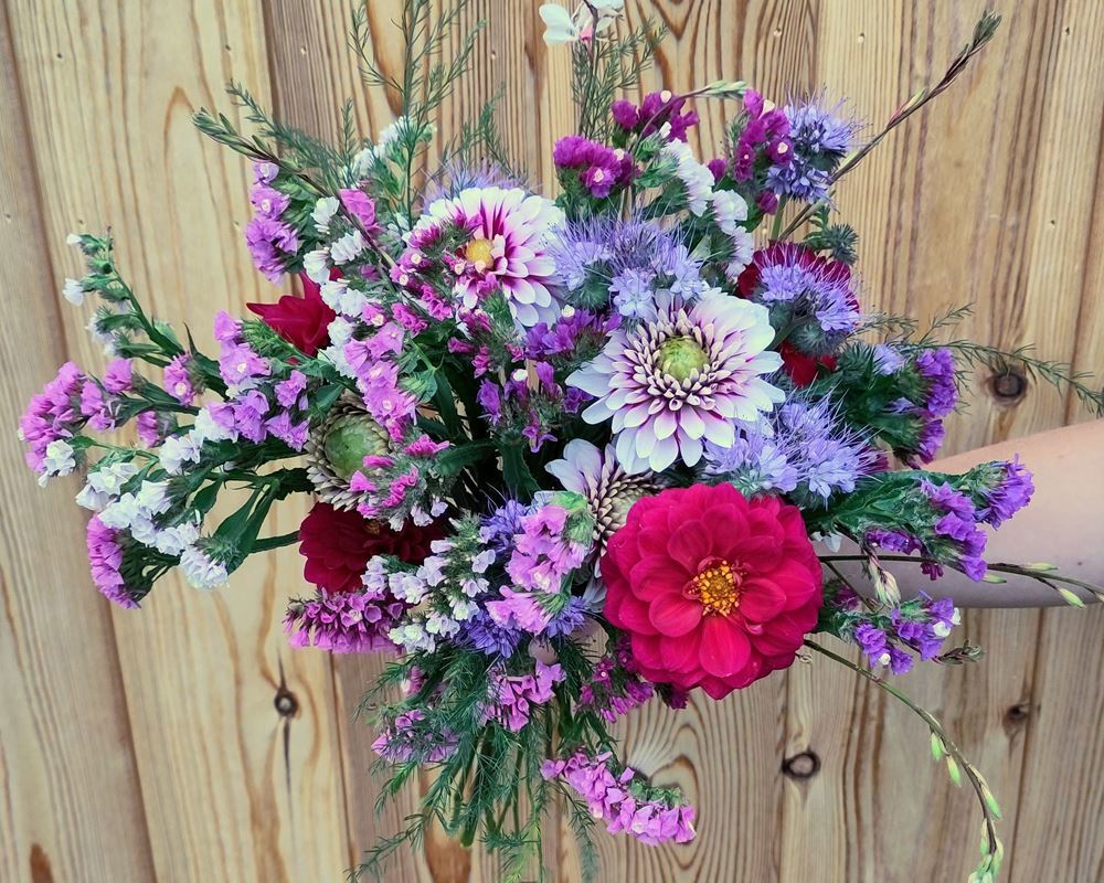 Flowers grown at Two Acre Farm