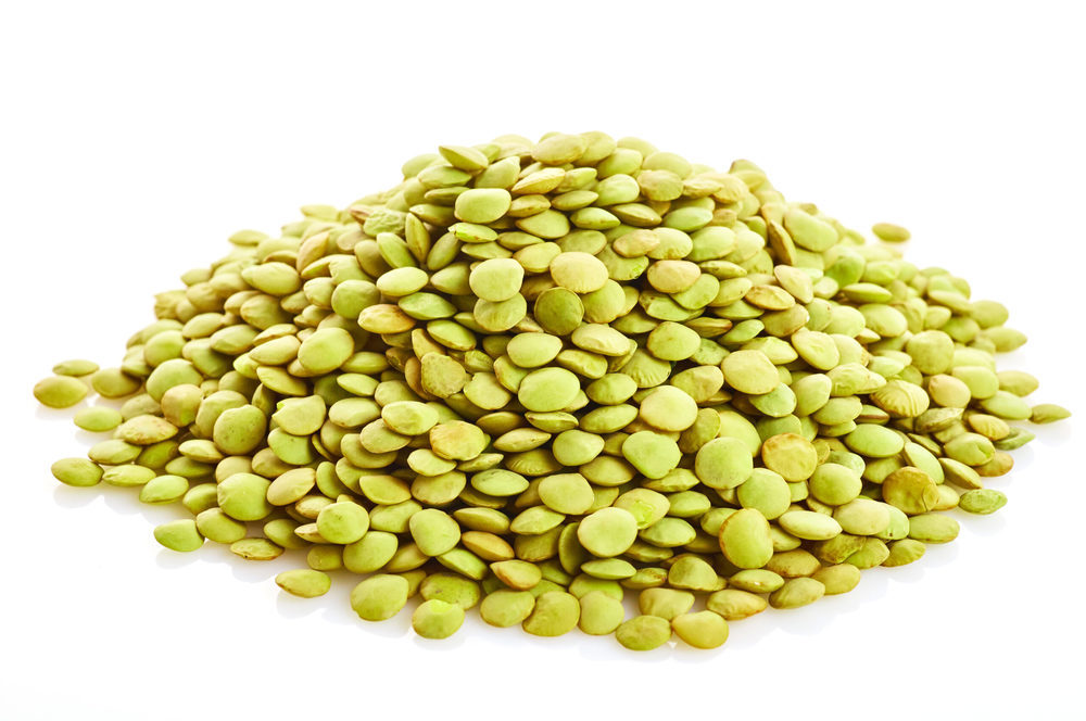 Corbys gwyrdd/Green Lentils 3kg (Organically grown)