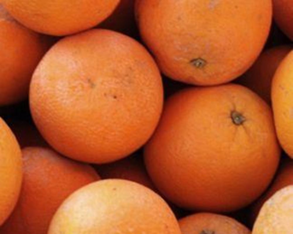 Oranges (Ogarnic)-500g