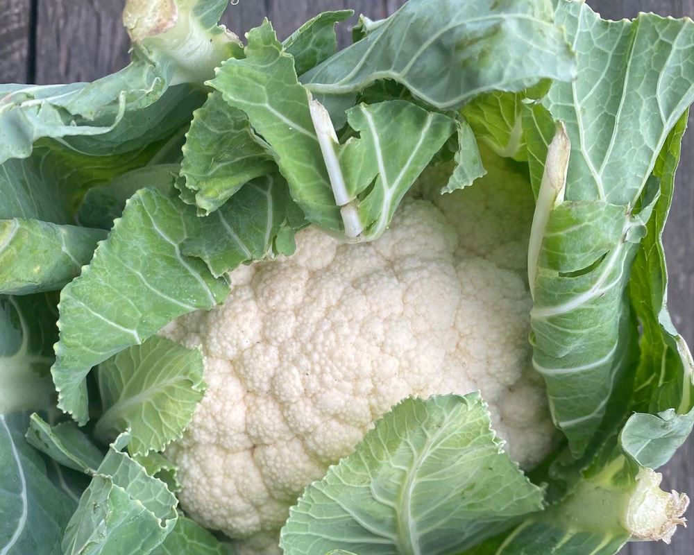 Cauliflower