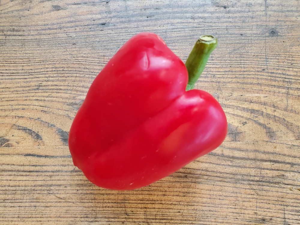 Peppers - red