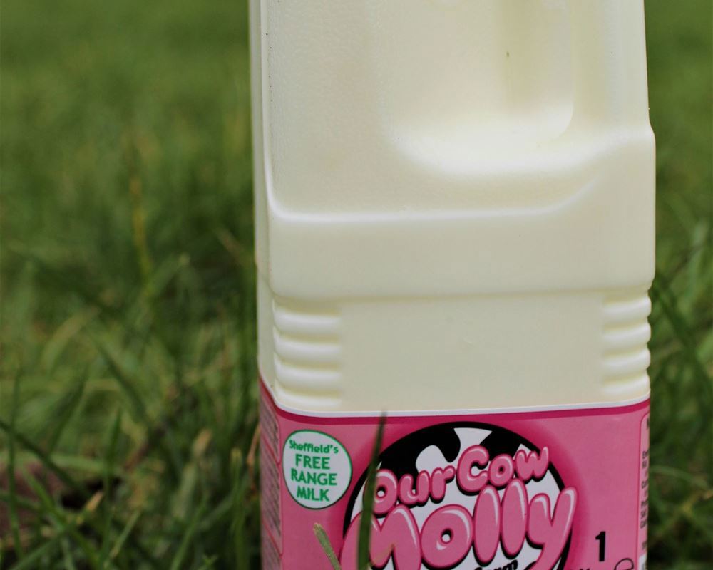 Our Cow Molly Semi Skimmed Milk, 1L
