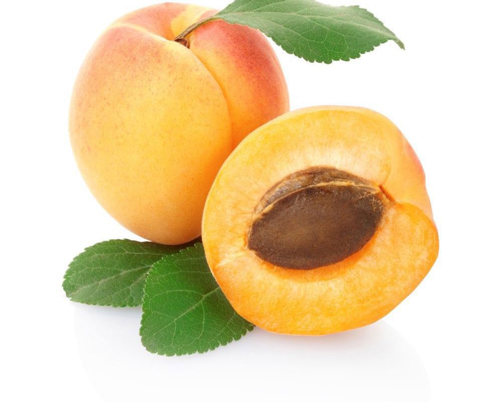 Organic Dried Apricots 500g