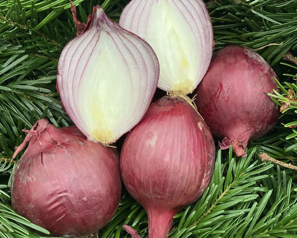 Onions, Red - approx 500g- Organic