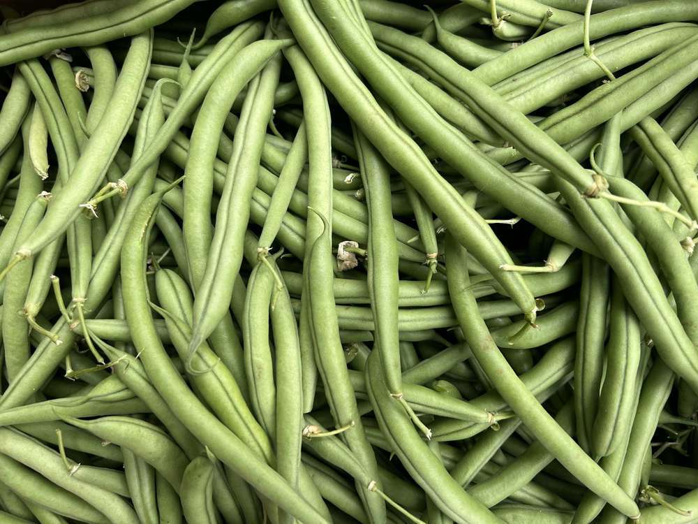 Organic French Beans (250g)