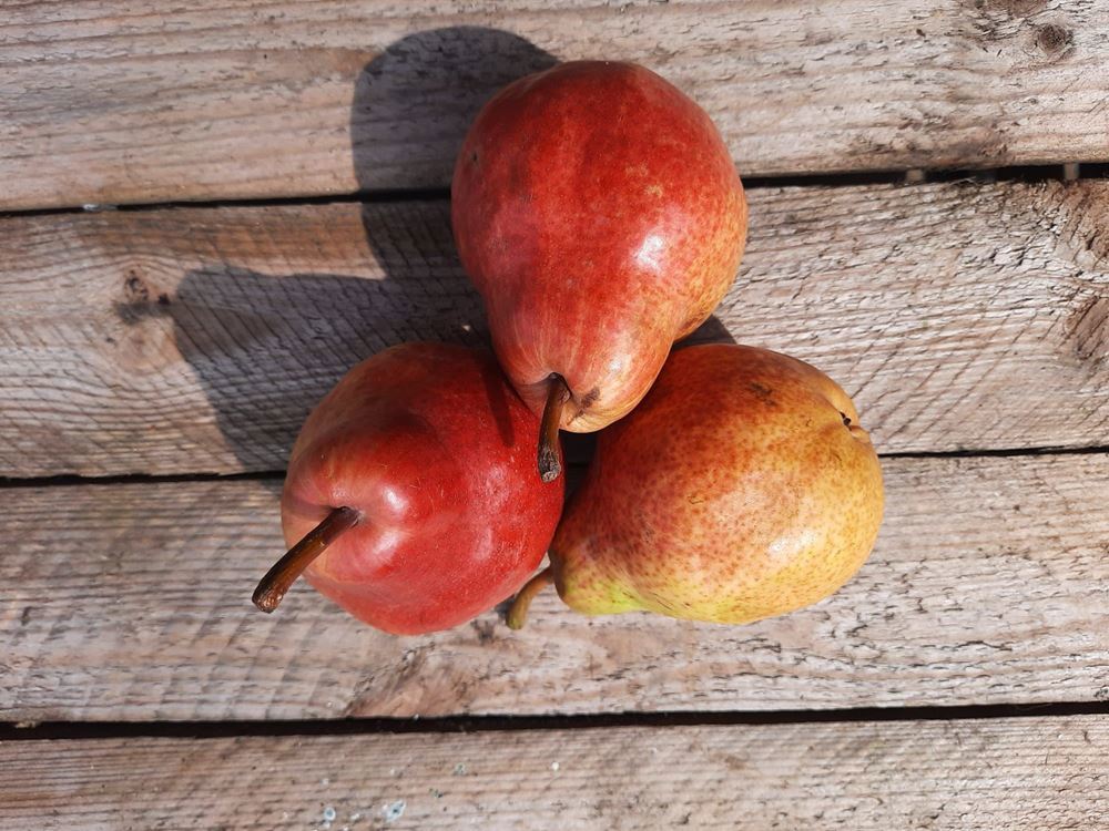 Pears 🇬🇧