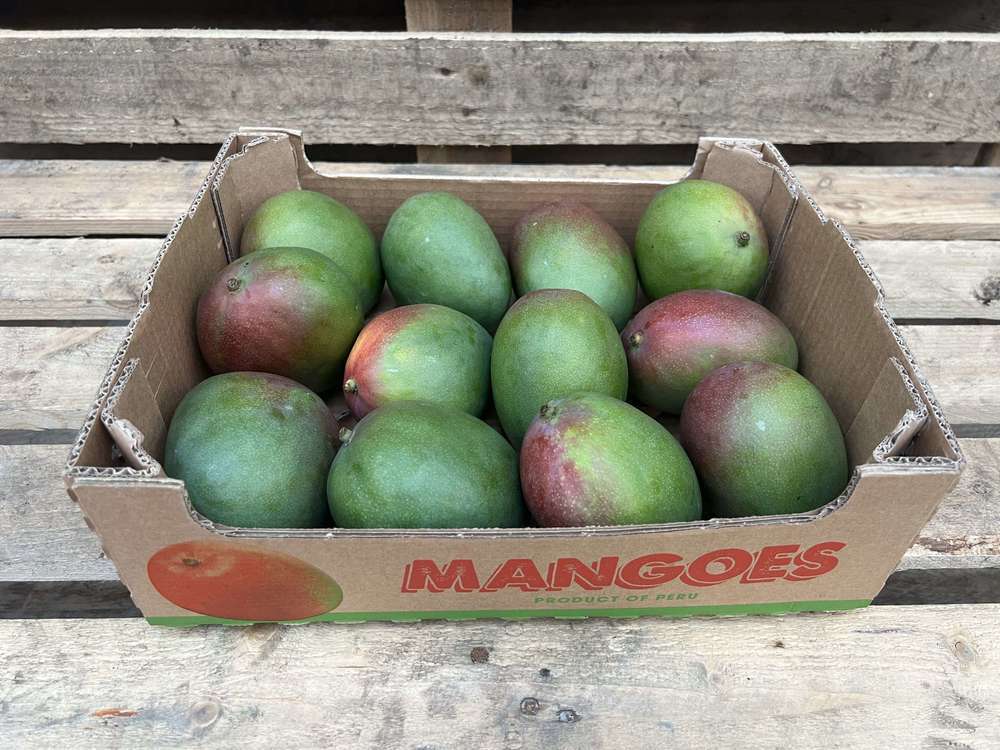 Mango - Organic Kent