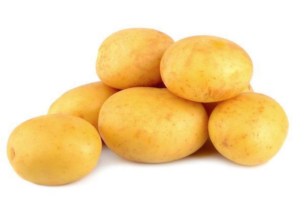 Potato: Sebago