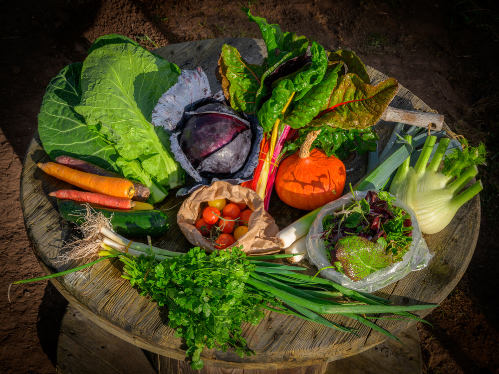 Large Veg Box with Solidarity donation