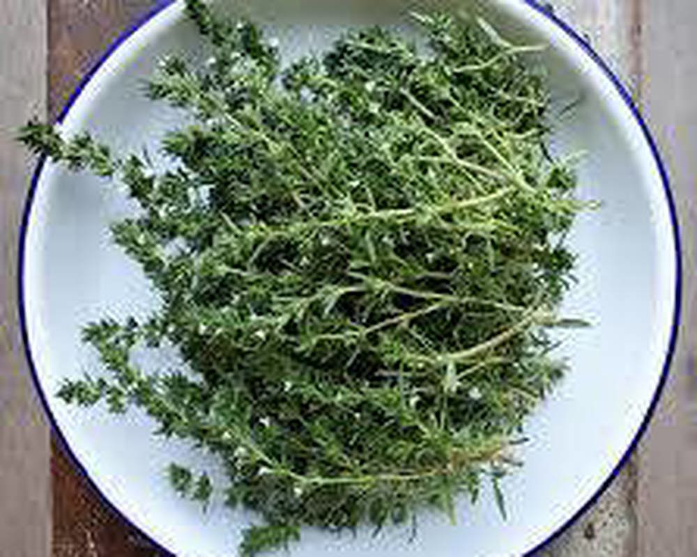 Savory