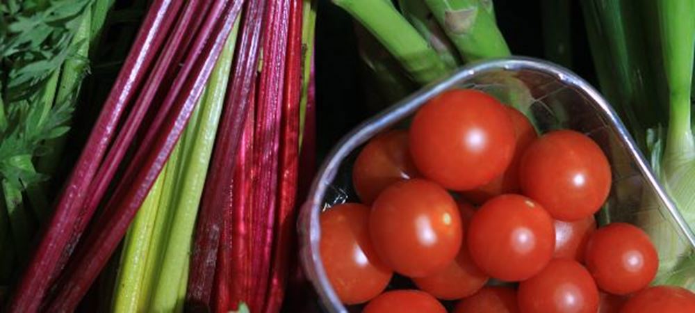 Organic Vegetable Boxes