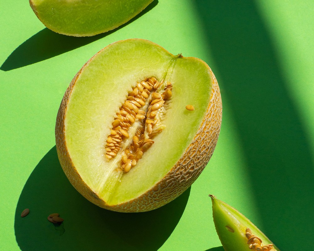 Organic Galia Melon