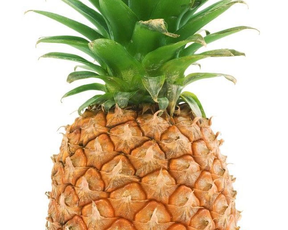 Pineapple (small) (limited)