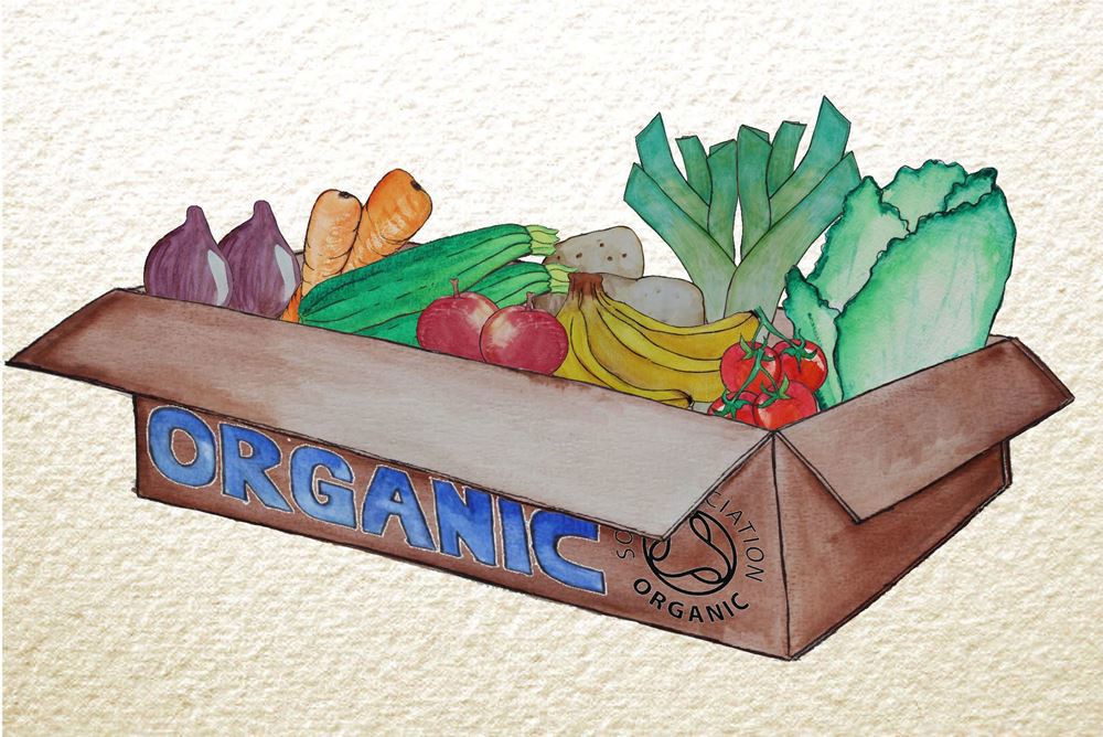 Organic Mixed Veg & Fruit Boxes