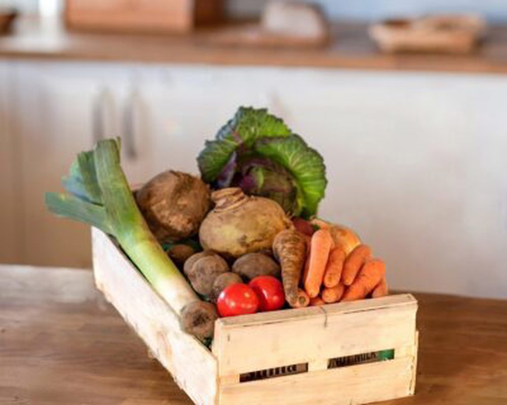 Organic Vegetable Boxes