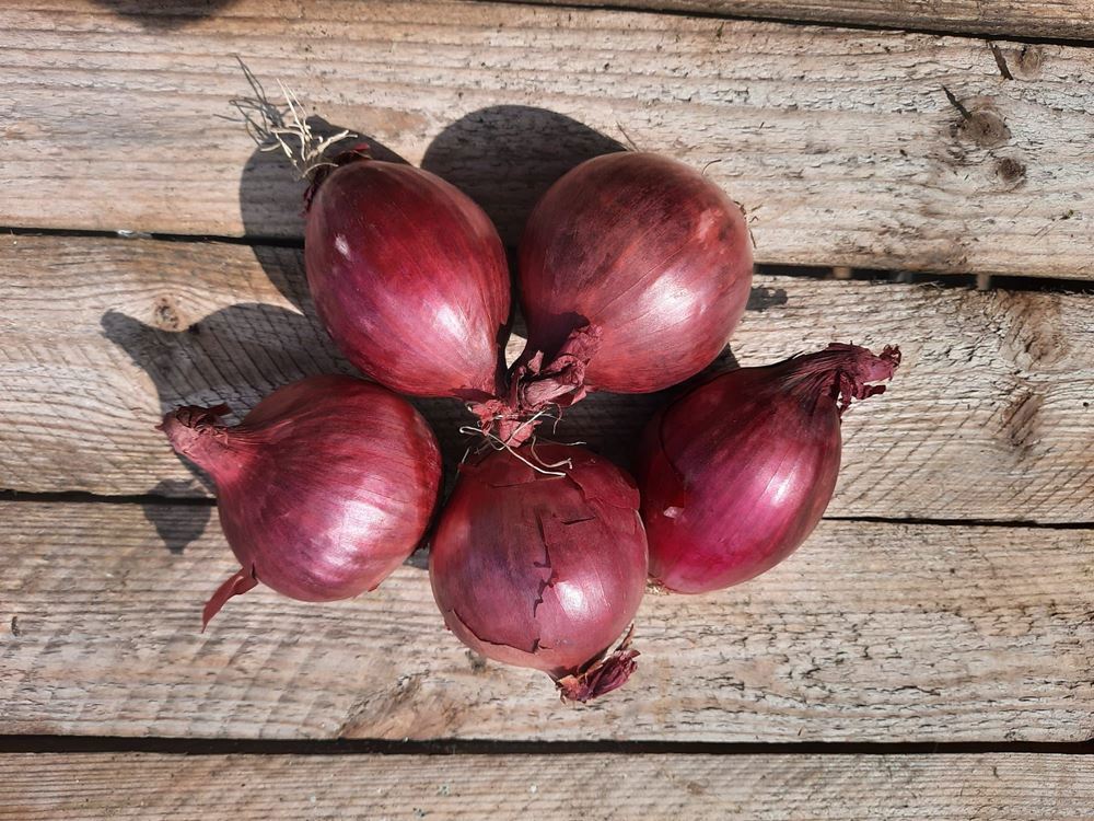 Onions, Red (500g) 🇬🇧