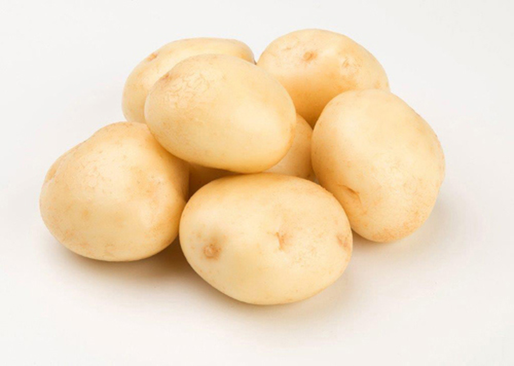 Potato: Gatsby