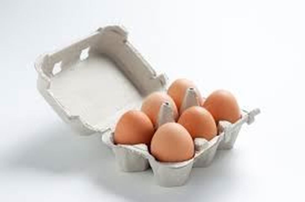 Organic Eggs 6