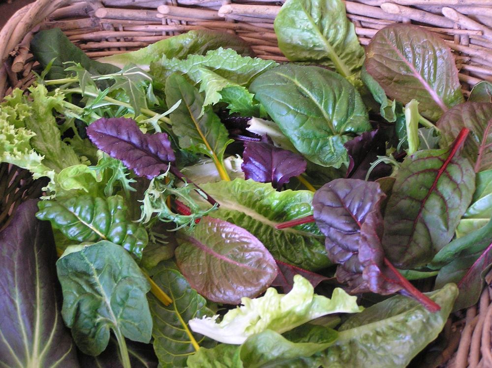 V.Salad: Mixed Leaves - approx 150g