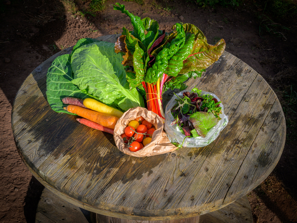 Small Veg Box with Solidarity donation