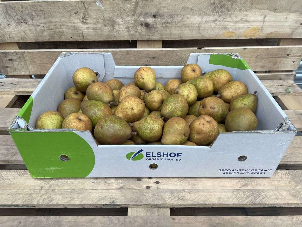 Pear: Comice