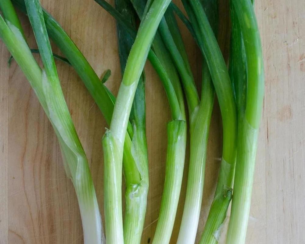 Green Onion (7-9 in a bunch)