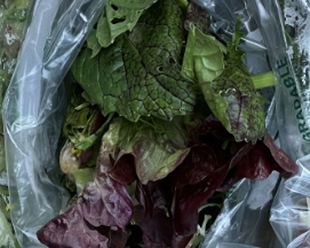 Salad bag 100g