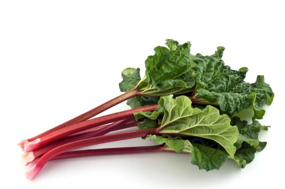 . Rhubarb