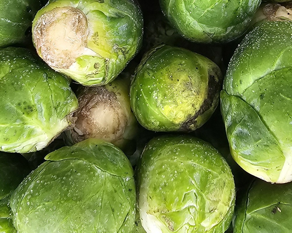 Brussels Sprouts