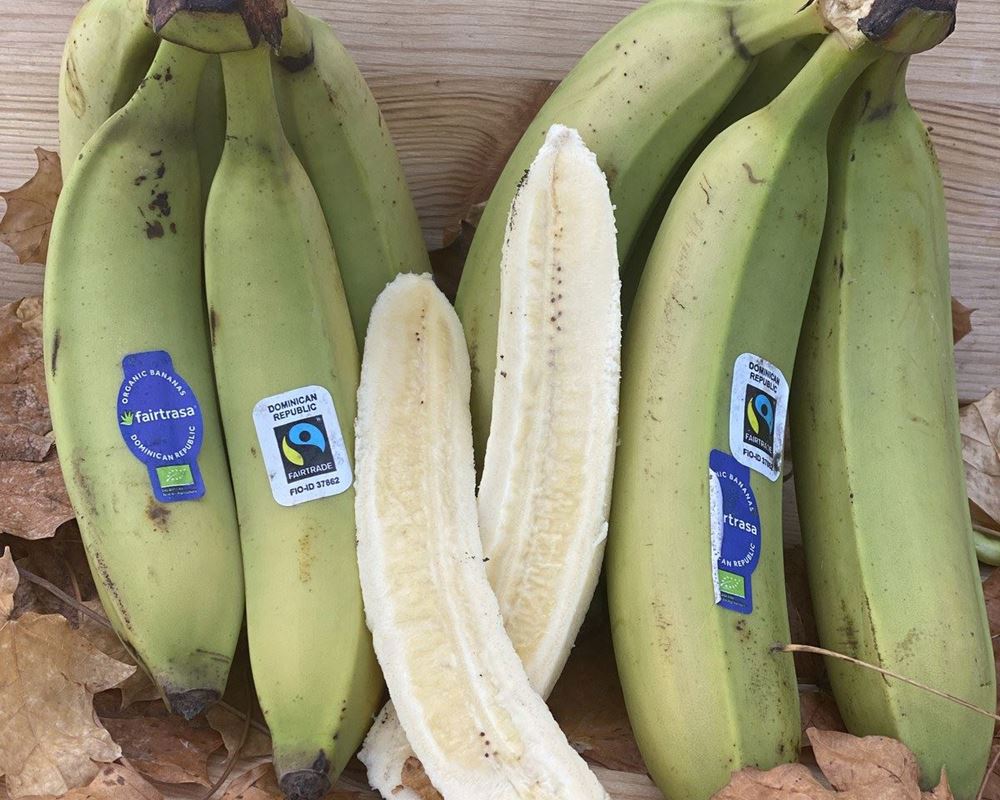 Bananas approx 500g- Organic
