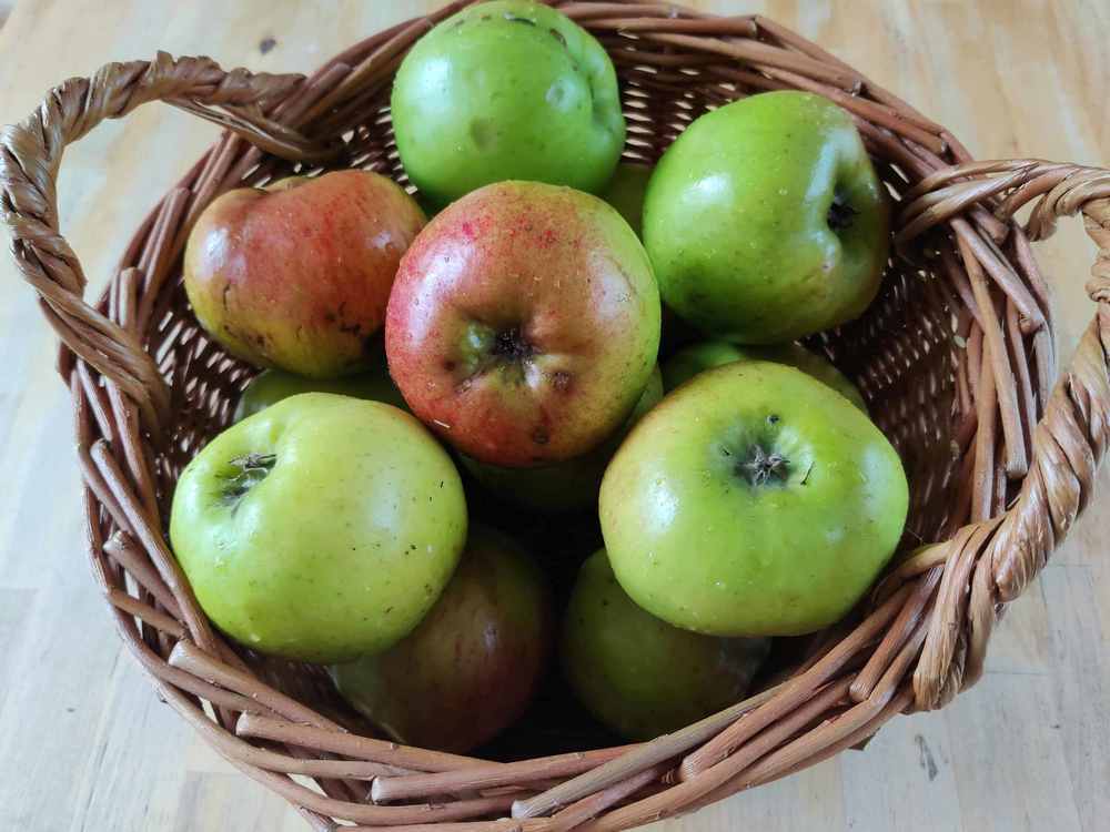 Fruit - cooking apples 1kg