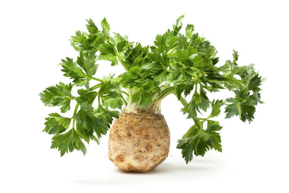 vCeleriac