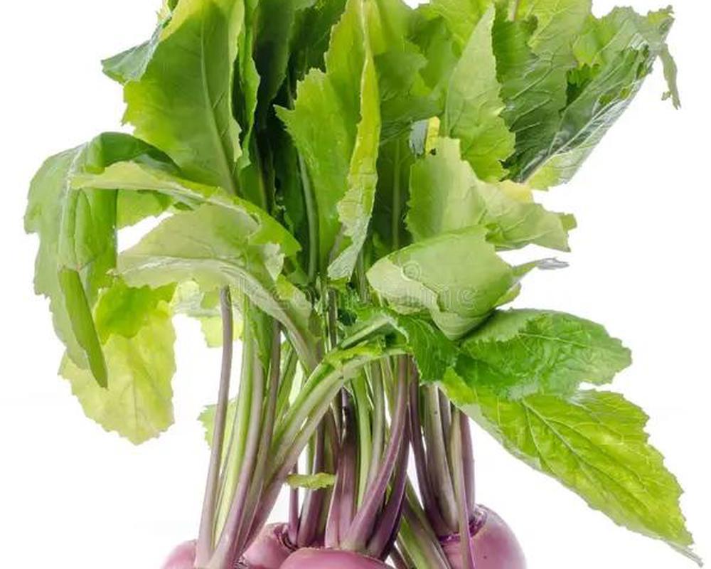 turnip/bunched