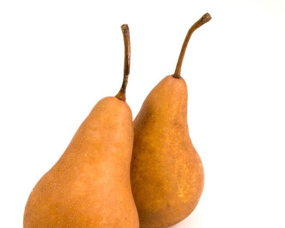 Pear: Bosc
