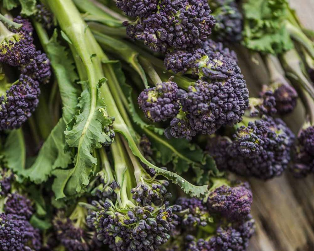 Purple Sprouting Broc EKG