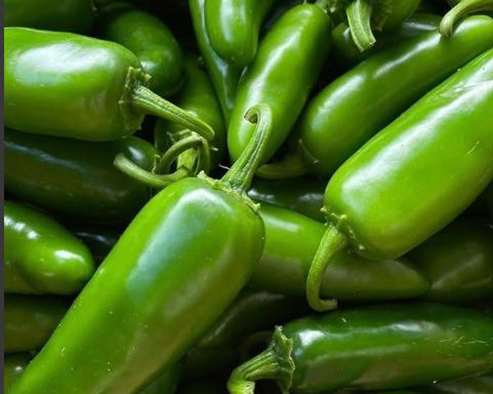 Chilli Green Jalapeno