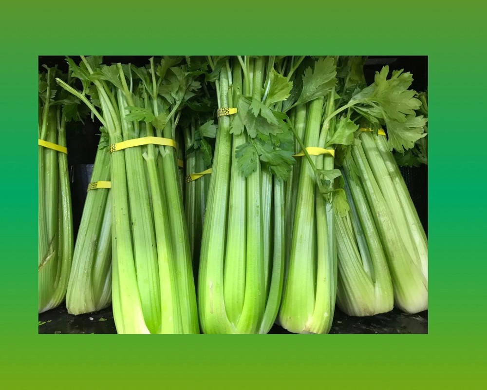 Celery