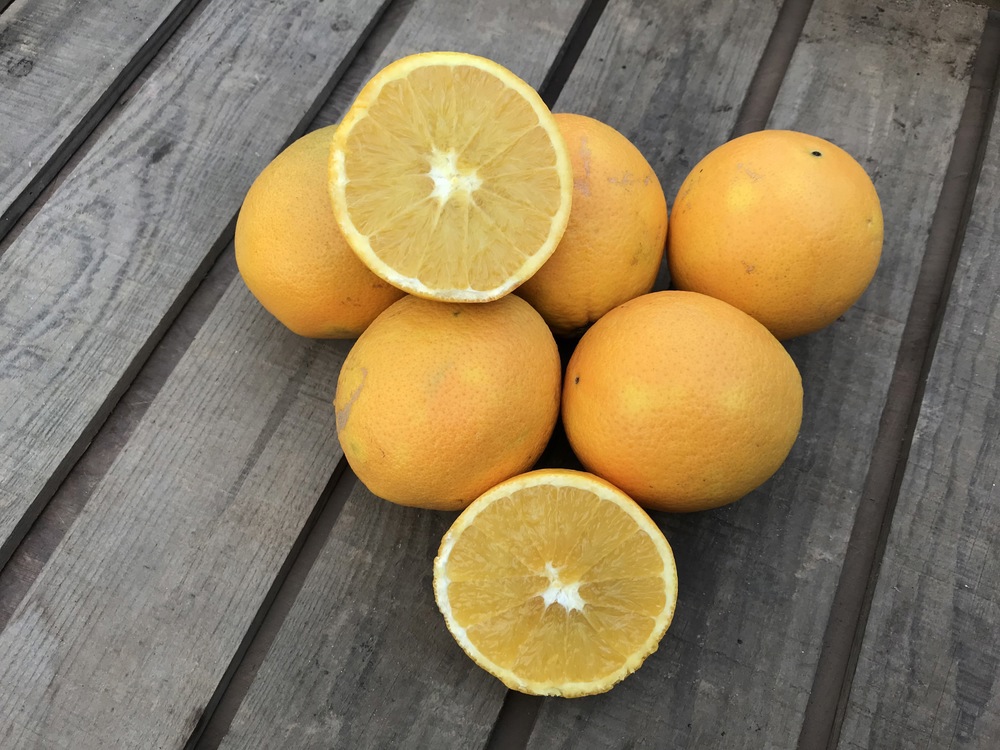 Spanish Organic Oranges (1kg)