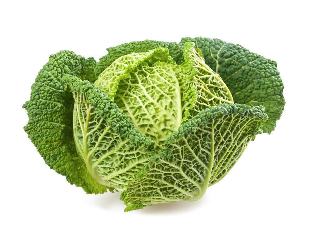 vSavoy Cabbage