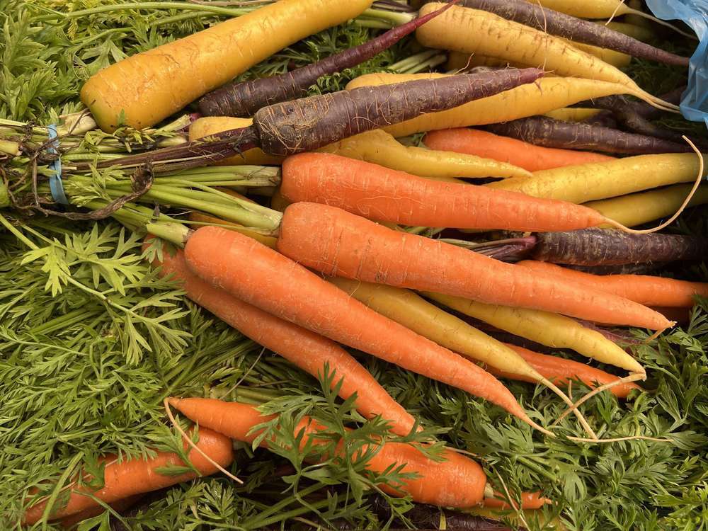 Carrots, British Rainbow Bunch with Tops