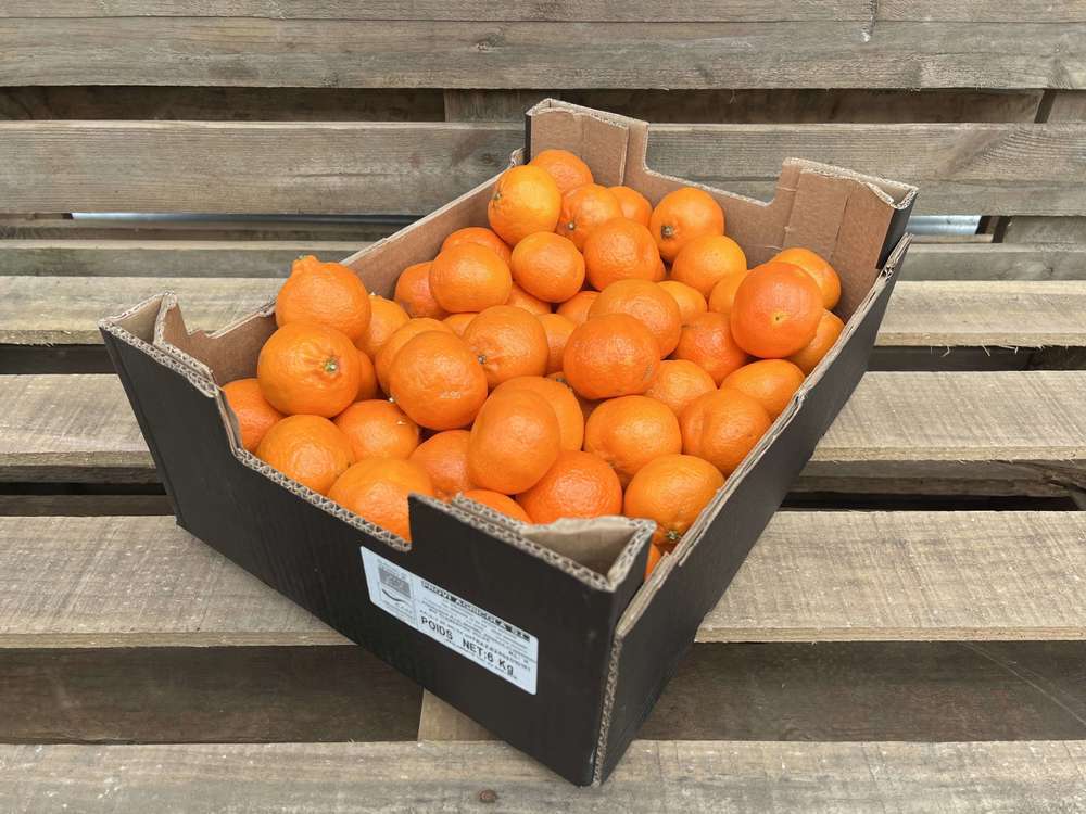 Clementines - Organic