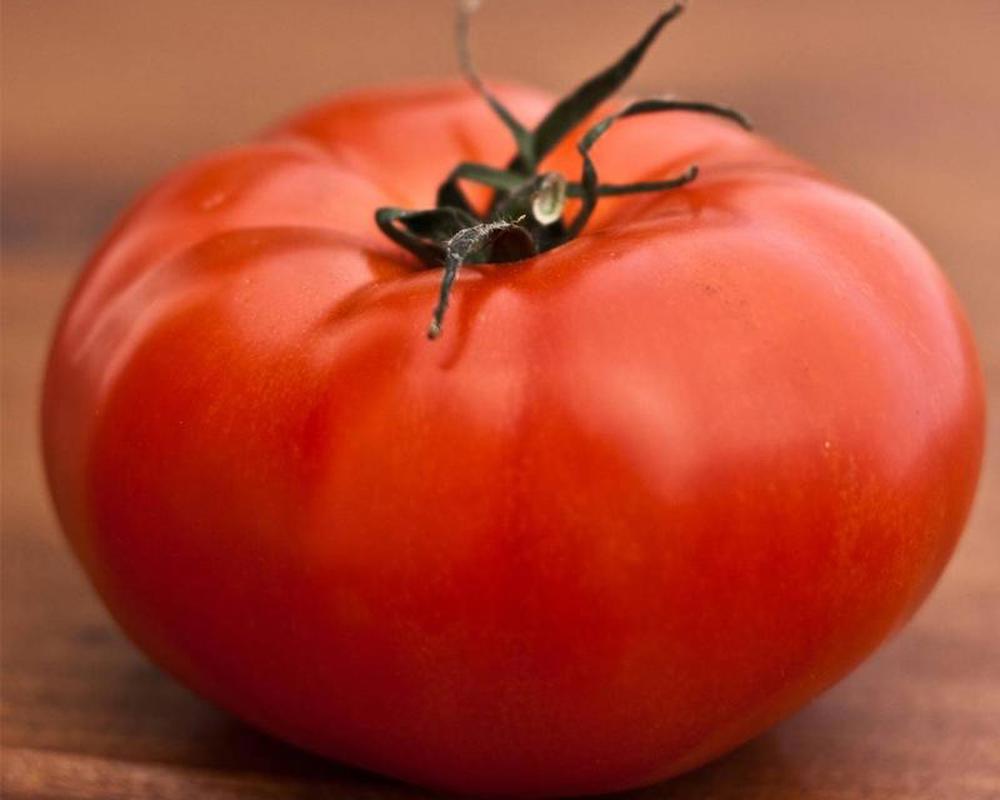 Beefsteak Tomato