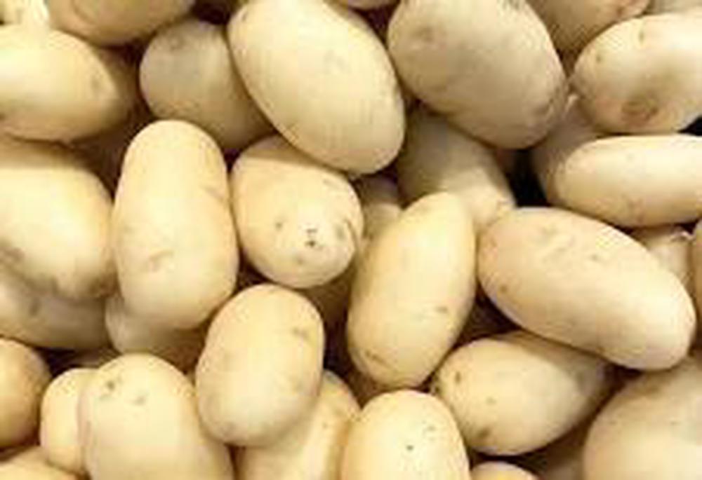Potatoes - Charlotte, British Organic