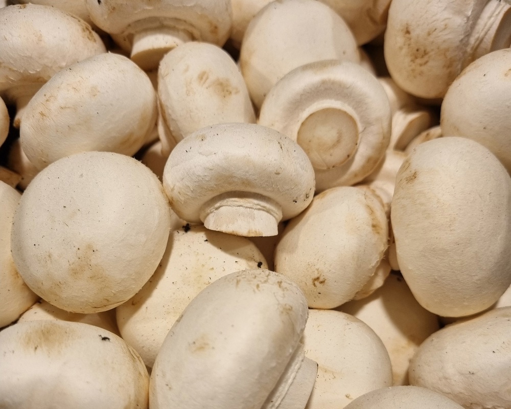 Organic Mushrooms 300g