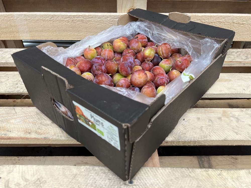 Plums - British Organic Red Opal