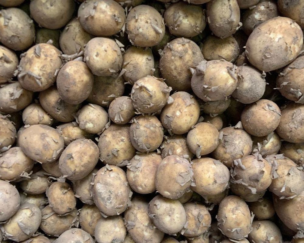 New potatoes (500g)
